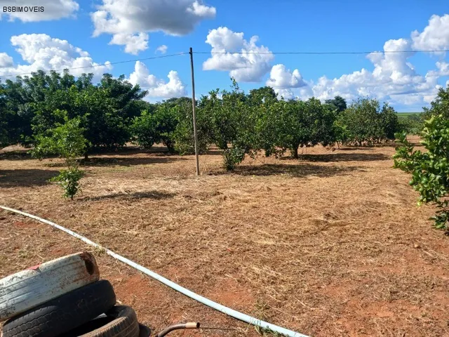 Imagem 3: ÁREA RURAL SÃO JOSÉ PLANALTINA/ 20.000M²/ PRUDUZINDO MANDIOCA, TANQUE DE PEIXES E