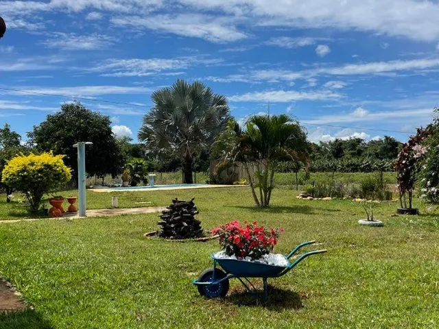 Imagem 9: ÁREA RURAL SÃO JOSÉ PLANALTINA/ 20.000M²/ PRUDUZINDO MANDIOCA, TANQUE DE PEIXES E