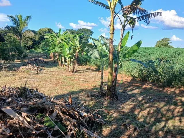 Imagem 16: ÁREA RURAL SÃO JOSÉ PLANALTINA/ 20.000M²/ PRUDUZINDO MANDIOCA, TANQUE DE PEIXES E