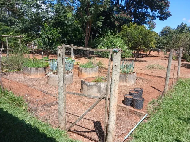 Imagem 12: ÁREA RURAL SÃO JOSÉ PLANALTINA/ 20.000M²/ PRUDUZINDO MANDIOCA, TANQUE DE PEIXES E