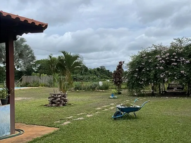 Imagem 11: ÁREA RURAL SÃO JOSÉ PLANALTINA/ 20.000M²/ PRUDUZINDO MANDIOCA, TANQUE DE PEIXES E