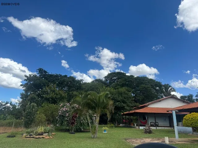 Imagem 13: ÁREA RURAL SÃO JOSÉ PLANALTINA/ 20.000M²/ PRUDUZINDO MANDIOCA, TANQUE DE PEIXES E