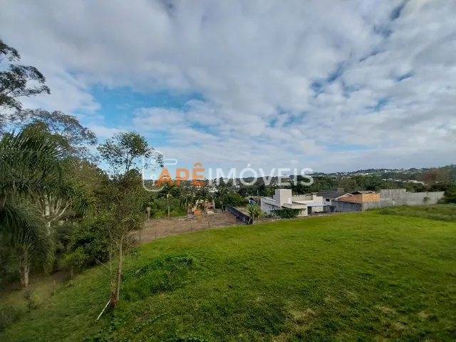 Imagem 3: Apartamento 2 dormitórios para locação Laranjinha Criciúma