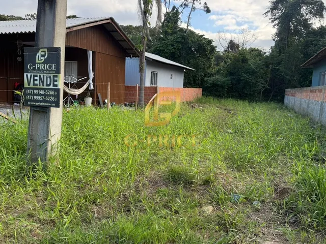 Imagem 9: Ótimo Terreno face Leste Pronto para Construir à 800 mts do Mar