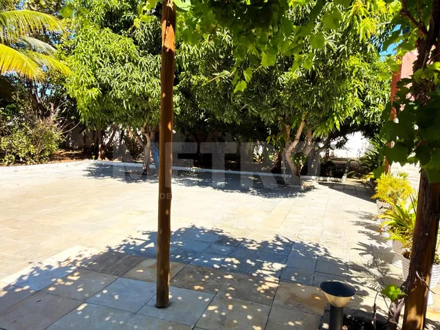 Imagem 3: Chácara á venda na Estrada da Tapera, 5 quartos, piscina, pomar, Petrolina