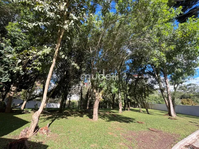 Imagem 2: Sobrado com 3 Suítes e Amplo Quintal Privativo