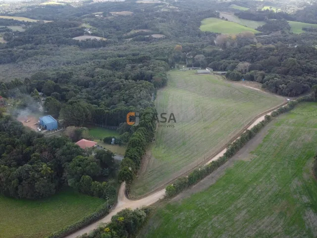 Imagem: CHACARA RURAL em CAMPO LARGO - PR, JARDIM