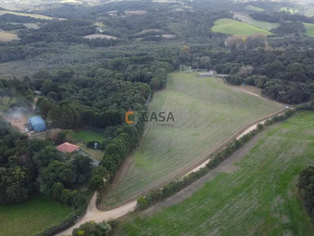 Imagem 5: CHACARA RURAL em CAMPO LARGO - PR, JARDIM FLORESTAL