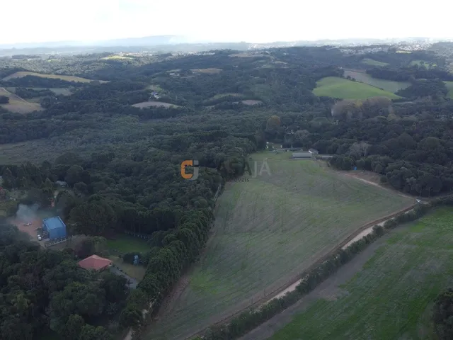 Imagem 13: CHACARA RURAL em CAMPO LARGO - PR, JARDIM FLORESTAL