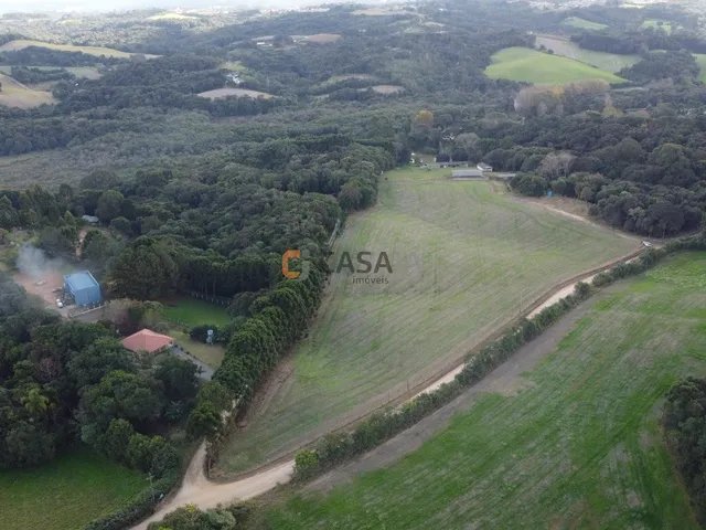 Imagem 11: CHACARA RURAL em CAMPO LARGO - PR, JARDIM FLORESTAL