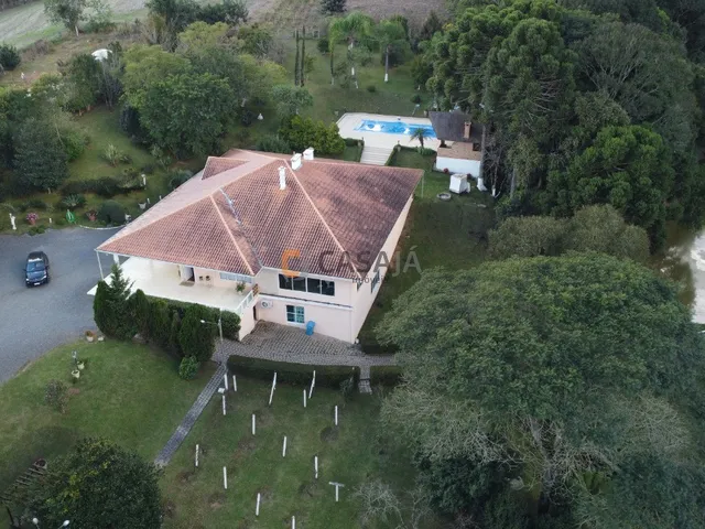 Imagem 10: CHACARA RURAL em CAMPO LARGO - PR, JARDIM FLORESTAL