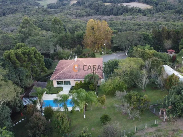 Imagem 3: CHACARA RURAL em CAMPO LARGO - PR, JARDIM FLORESTAL