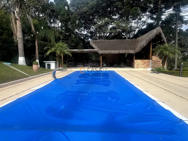 Imagem 7: CHACARA RURAL em CAMPO LARGO - PR, JARDIM FLORESTAL