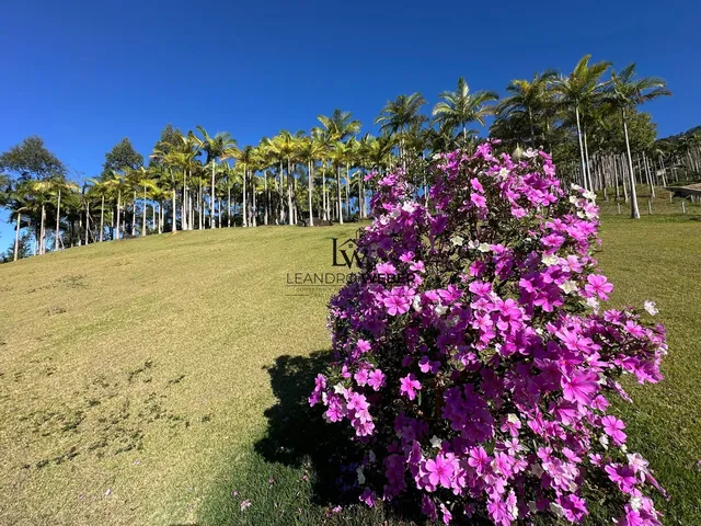 Imagem 10: Sítio dos Sonhos com 9 Hectares em Antônio Carlos/SC