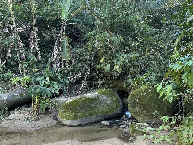 Imagem 12: Sítio dos Sonhos com 9 Hectares em Antônio Carlos/SC