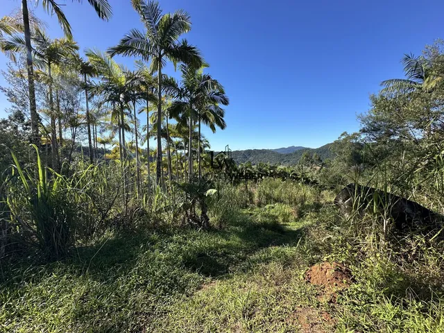 Imagem 9: Sítio dos Sonhos com 9 Hectares em Antônio Carlos/SC