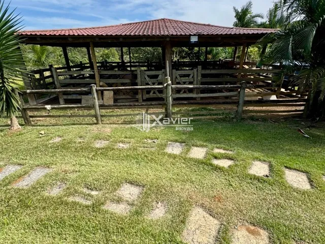 Imagem 12: Chácara à Venda em Jaboticaba, Guarapari/ES - 4.000 m², 2 Casas, Área Gourmet, Curral