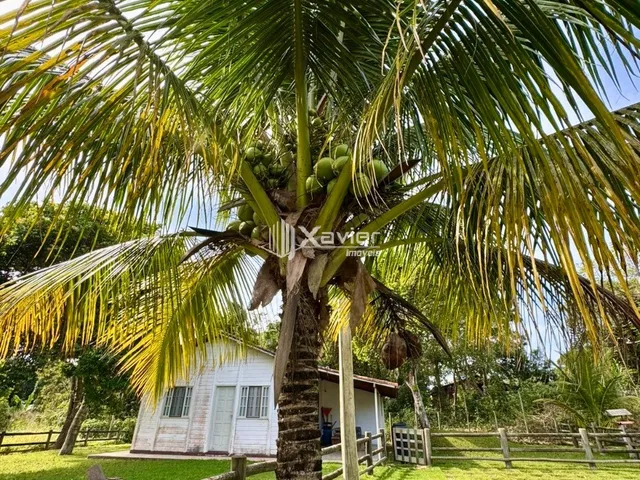 Imagem 10: Chácara à Venda em Jaboticaba, Guarapari/ES - 4.000 m², 2 Casas, Área Gourmet, Curral