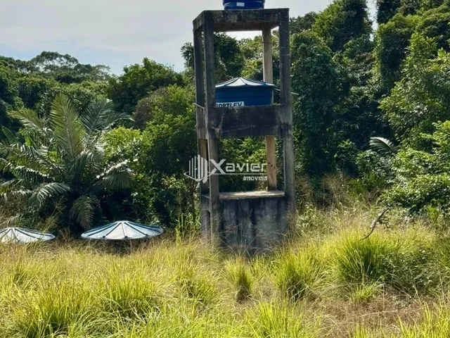 Imagem 9: Chácara à Venda em Jaboticaba, Guarapari/ES - 4.000 m², 2 Casas, Área Gourmet, Curral