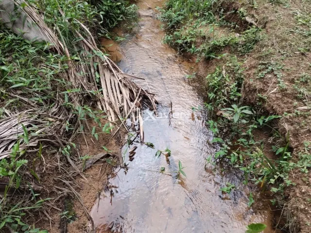 Imagem 10: Sítio à Venda com 8,8 Alqueires e 43 Hectares em São Bento de Urânia, Alfredo