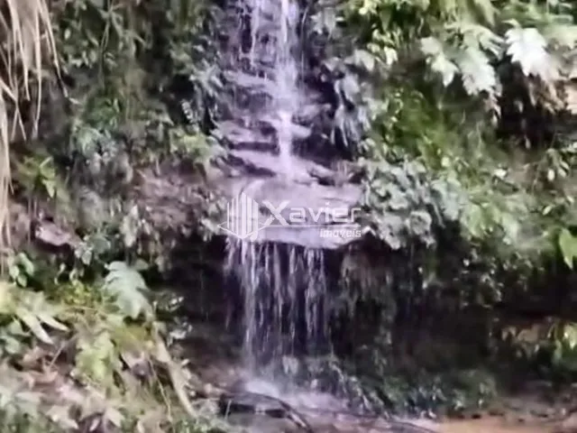 Imagem 13: Sítio à Venda com 8,8 Alqueires e 43 Hectares em São Bento de Urânia, Alfredo