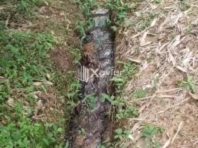 Imagem 3: Sítio à Venda com 8,8 Alqueires e 43 Hectares em São Bento de Urânia, Alfredo