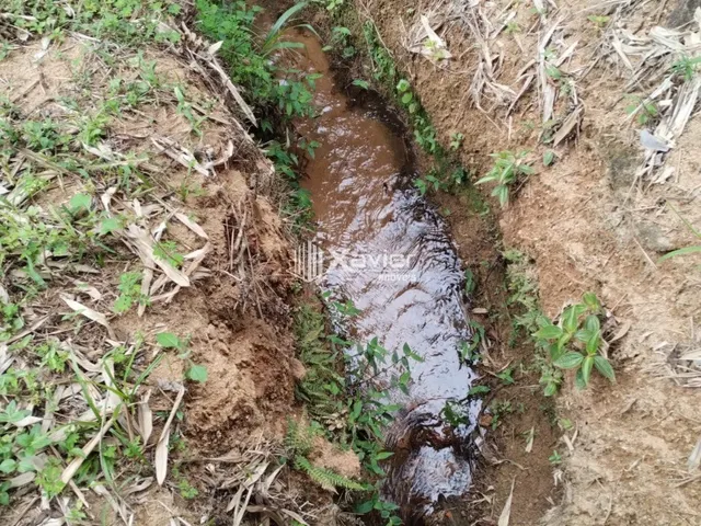 Imagem 8: Sítio à Venda com 8,8 Alqueires e 43 Hectares em São Bento de Urânia, Alfredo