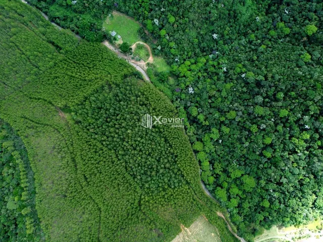 Imagem 15: Sítio à Venda com 8,8 Alqueires e 43 Hectares em São Bento de Urânia, Alfredo