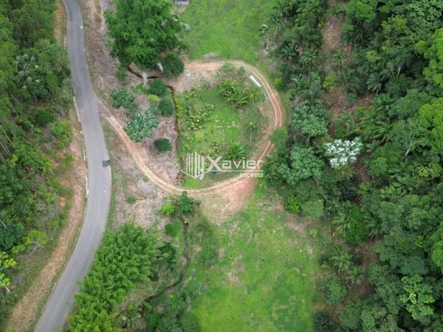 Imagem 2: Sítio à Venda com 8,8 Alqueires e 43 Hectares em São Bento de Urânia, Alfredo
