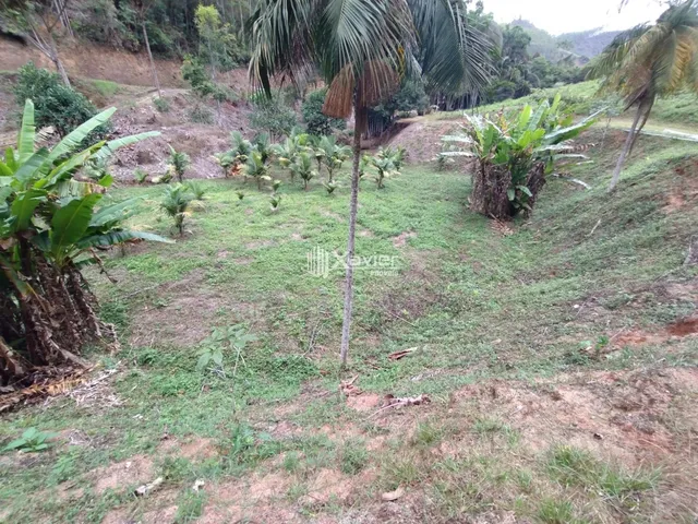 Imagem 11: Sítio à Venda com 8,8 Alqueires e 43 Hectares em São Bento de Urânia, Alfredo