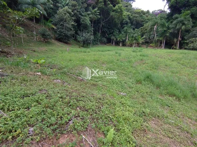 Imagem 6: Sítio à Venda com 8,8 Alqueires e 43 Hectares em São Bento de Urânia, Alfredo