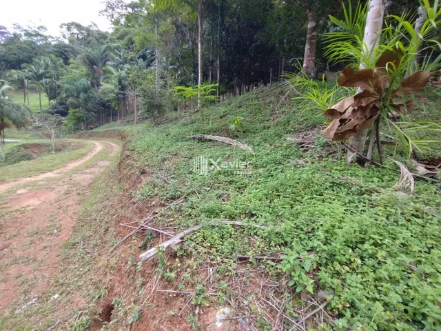 Imagem 14: Sítio à Venda com 8,8 Alqueires e 43 Hectares em São Bento de Urânia, Alfredo