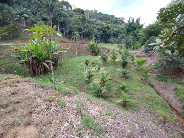 Imagem 4: Sítio à Venda com 8,8 Alqueires e 43 Hectares em São Bento de Urânia, Alfredo