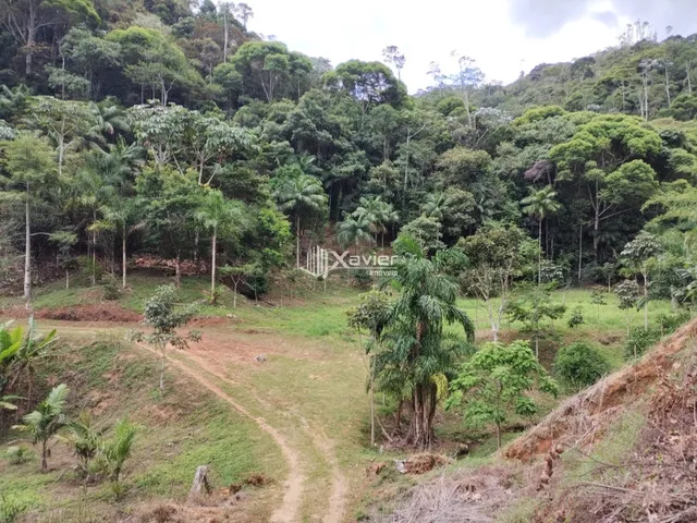 Imagem: Sítio à Venda com 8,8 Alqueires e 43 Hectares