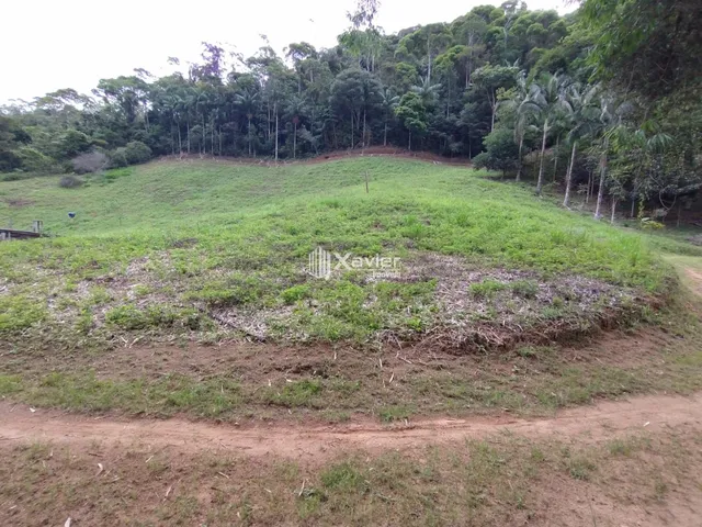 Imagem 12: Sítio à Venda com 8,8 Alqueires e 43 Hectares em São Bento de Urânia, Alfredo
