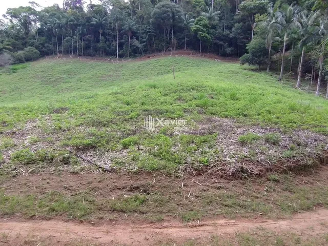 Imagem 16: Sítio à Venda com 8,8 Alqueires e 43 Hectares em São Bento de Urânia, Alfredo