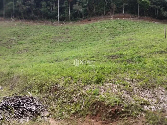 Imagem 7: Sítio à Venda com 8,8 Alqueires e 43 Hectares em São Bento de Urânia, Alfredo
