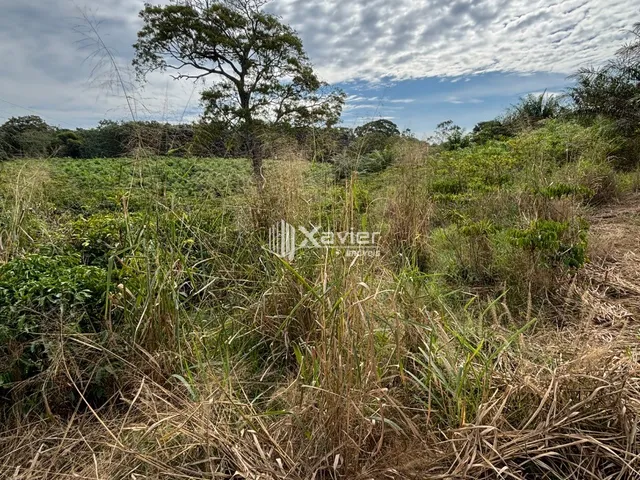 Imagem 14: Área Comercial de 10 Alqueires em Jucu, Vila Velha/ES - Acesso BR-101, Terreno Plano e