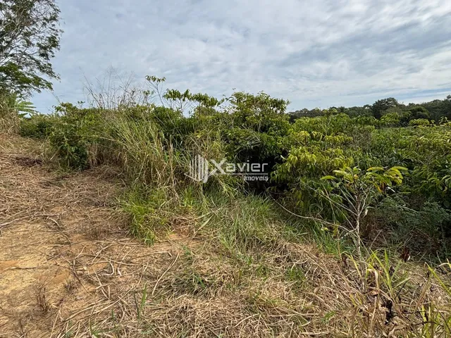 Imagem 10: Área Comercial de 10 Alqueires em Jucu, Vila Velha/ES - Acesso BR-101, Terreno Plano e