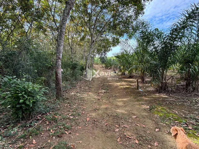 Imagem 13: Área Comercial de 10 Alqueires em Jucu, Vila Velha/ES - Acesso BR-101, Terreno Plano e