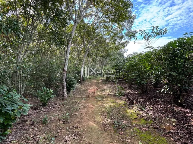 Imagem 16: Área Comercial de 10 Alqueires em Jucu, Vila Velha/ES - Acesso BR-101, Terreno Plano e