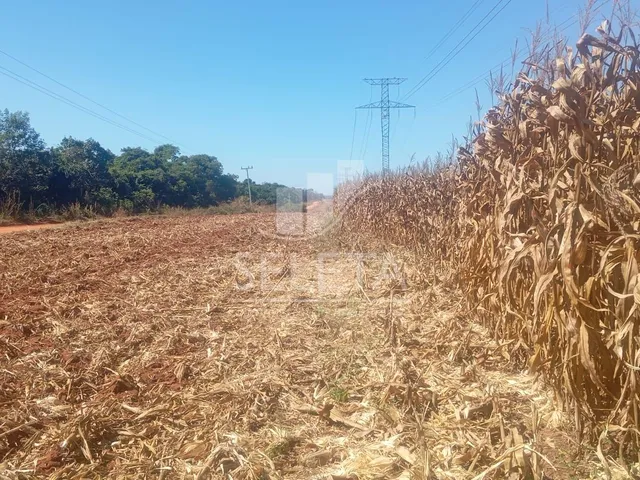 Imagem 2: FAZENDA MARIPÁ/ MT, ENTRADA e mais 6 ANOS PARA O PAGAMENTO FINAL