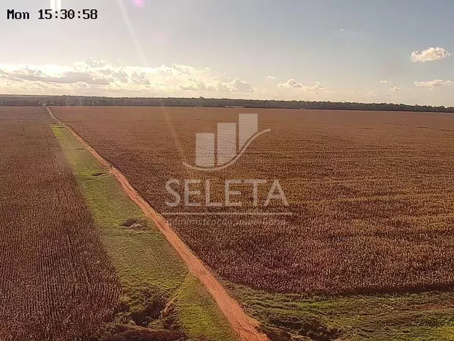 Imagem 9: FAZENDA MARIPÁ/ MT, ENTRADA e mais 6 ANOS PARA O PAGAMENTO FINAL