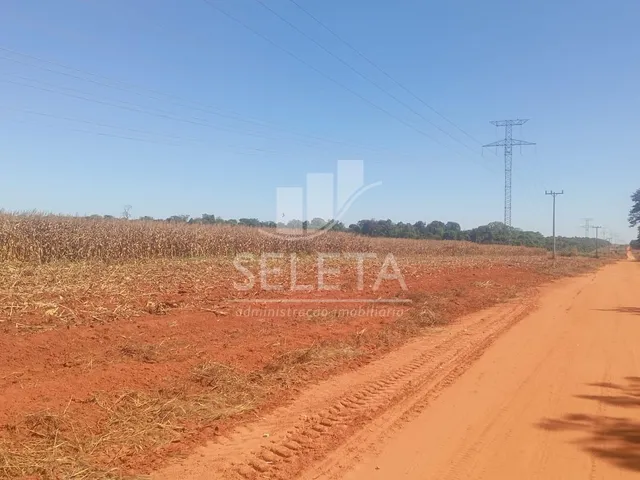 Imagem 6: FAZENDA MARIPÁ/ MT, ENTRADA e mais 6 ANOS PARA O PAGAMENTO FINAL