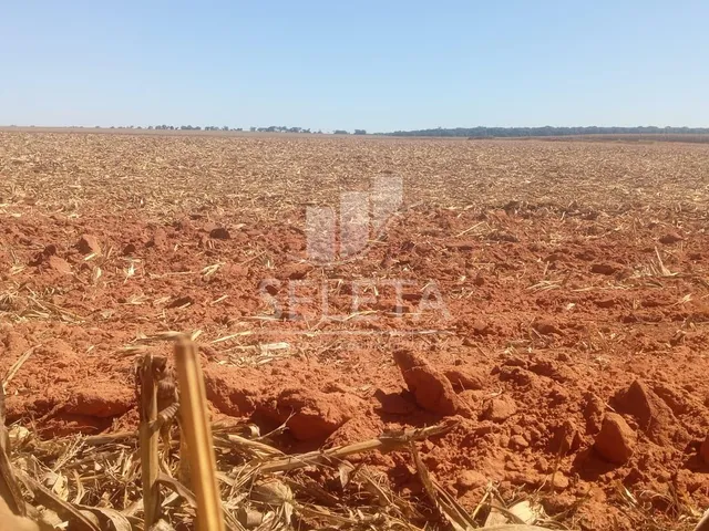 Imagem 5: FAZENDA MARIPÁ/ MT, ENTRADA e mais 6 ANOS PARA O PAGAMENTO FINAL