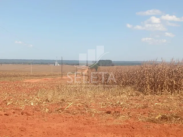 Imagem 7: FAZENDA MARIPÁ/ MT, ENTRADA e mais 6 ANOS PARA O PAGAMENTO FINAL