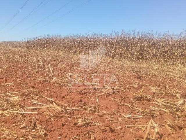 Imagem 8: FAZENDA MARIPÁ/ MT, ENTRADA e mais 6 ANOS PARA O PAGAMENTO FINAL