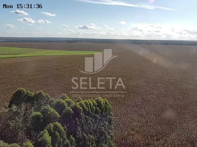 Imagem 14: FAZENDA MARIPÁ/ MT, ENTRADA e mais 6 ANOS PARA O PAGAMENTO FINAL