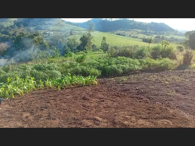 Imagem 2: Chácara a venda 1 alqueires com casa jardim alegre PR a 5 km da cidade financia