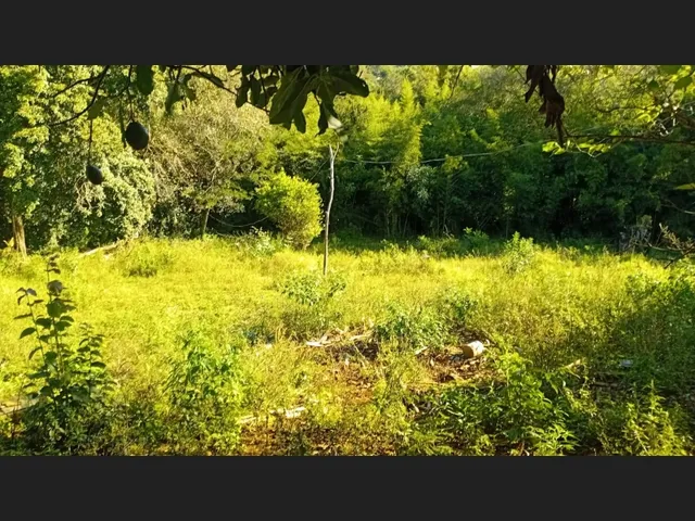 Imagem 11: Chácara a venda 1 alqueires com casa jardim alegre PR a 5 km da cidade financia